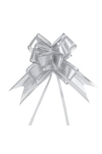 Çekme Fiyonk Gümüş (10'lu) İthal