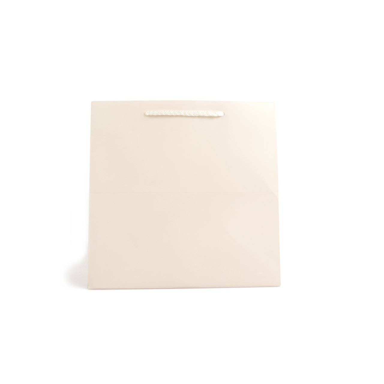 Pasta Çantası 24x24x24(12'li)