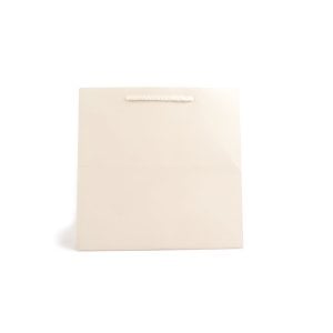 Pasta Çantası 24x24x24(12'li)