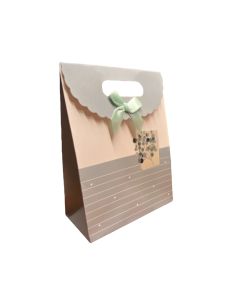 Hediye Paketi 24x28x10 cm 12'li (206-8)