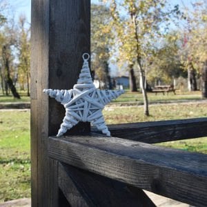 Dekoratif Yıldız Beyaz 20 cm