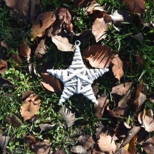 Dekoratif Yıldız Beyaz 20 cm