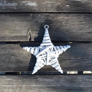 Dekoratif Yıldız Beyaz 20 cm