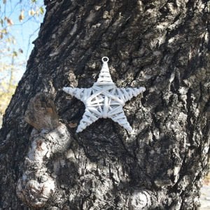 Dekoratif Yıldız Beyaz 20 cm